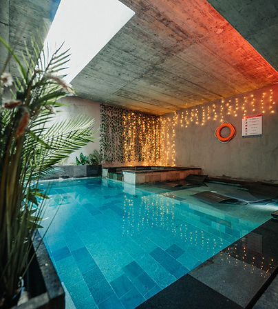 Hidden Gardens Massage to Go January 31st 2023 (126).jpg