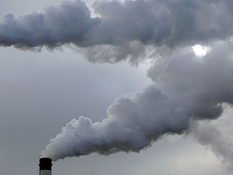 Detoxing from Environmental Toxins