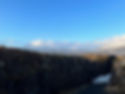 IMG_4384.jpeg