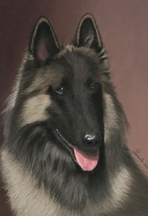 Pastel portrait of Tervuren Tate by Pascale Vanbutsele