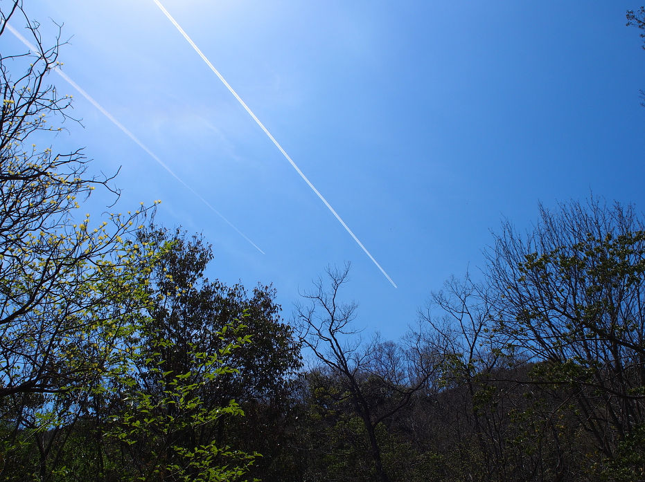 蕎麦ヶ岳190409.JPG