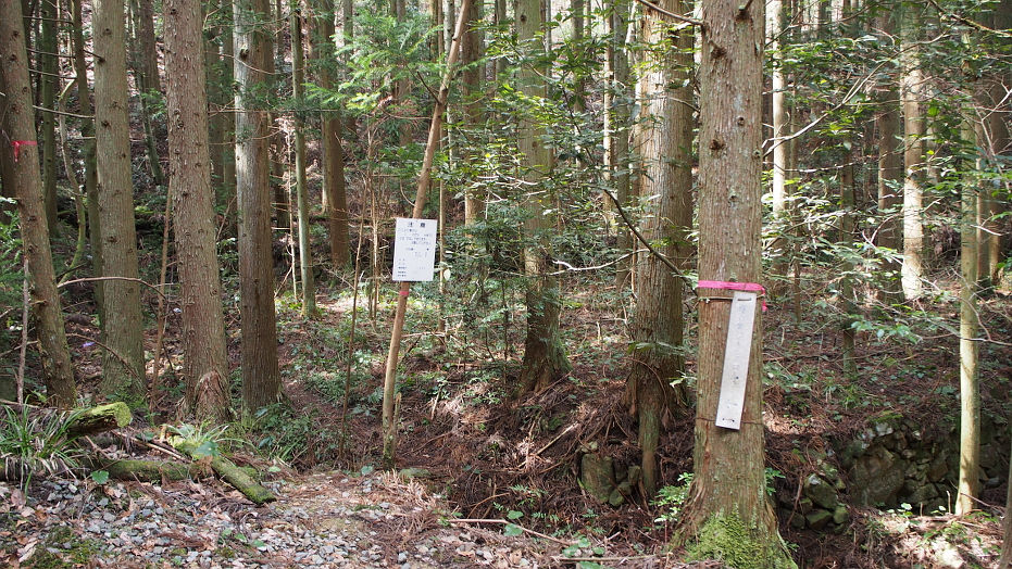 tounoiwa190312.JPG