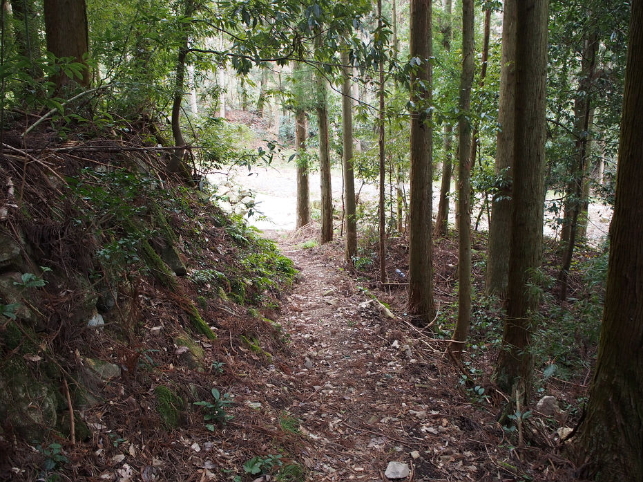 十種ヶ峰190139.JPG