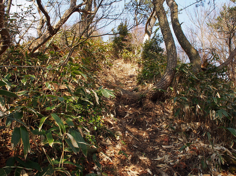 十種ヶ峰190121.JPG