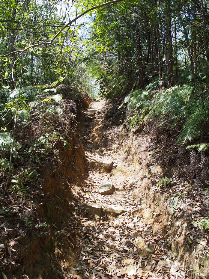 蕎麦ヶ岳190405.JPG