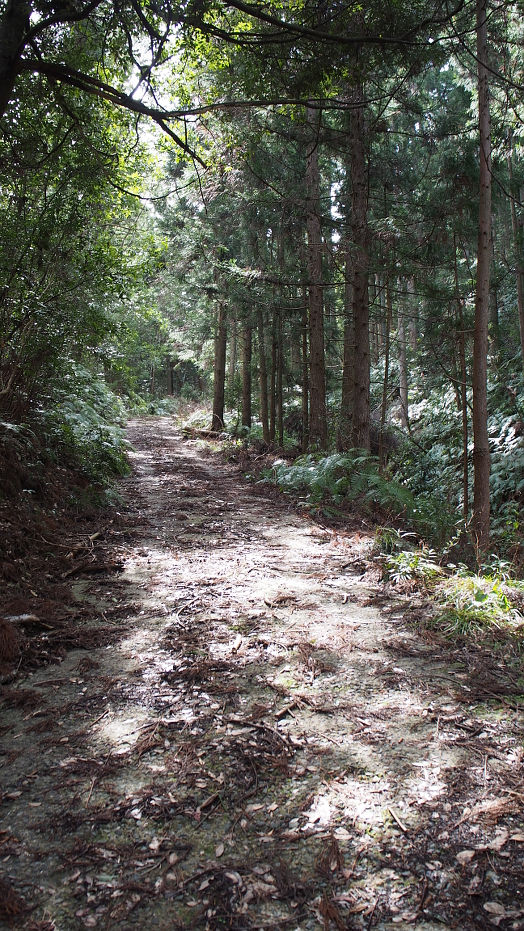 tounoiwa190309.JPG