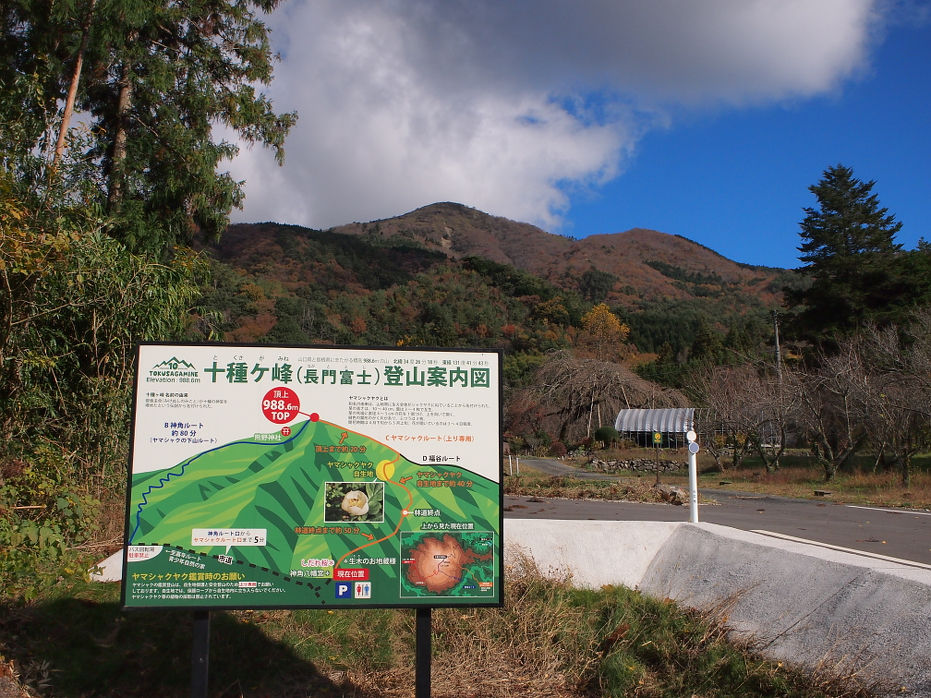tokusa181102.JPG