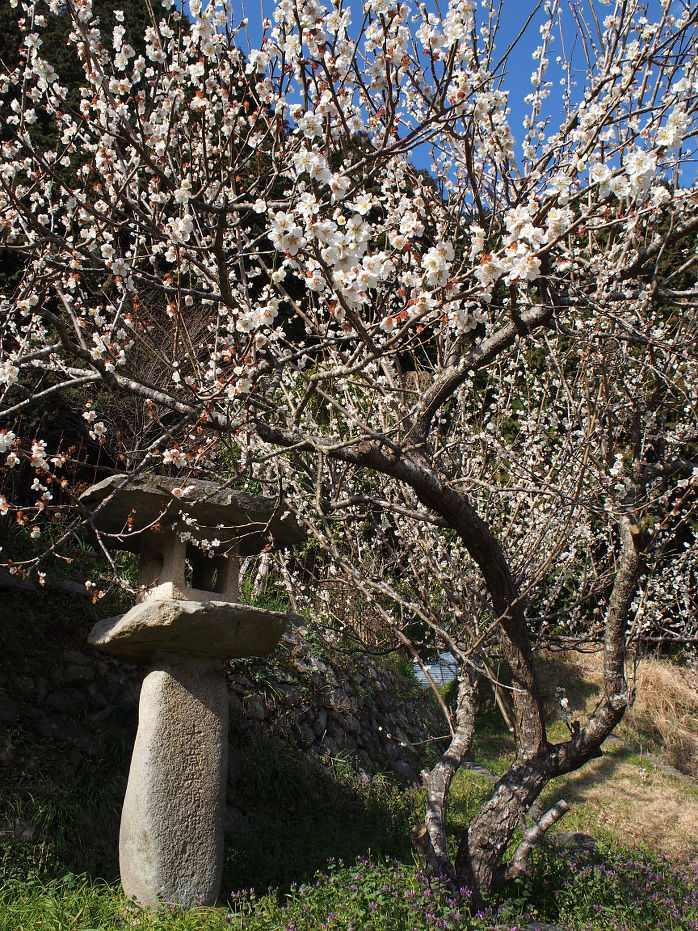 higasihouben190325.JPG