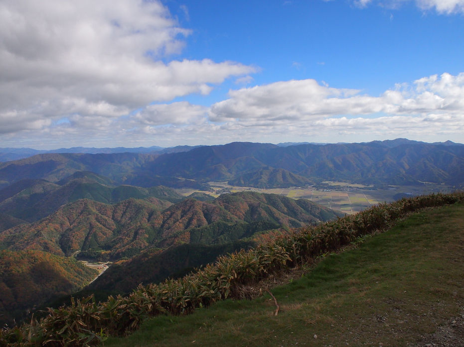 tokusa181109.JPG
