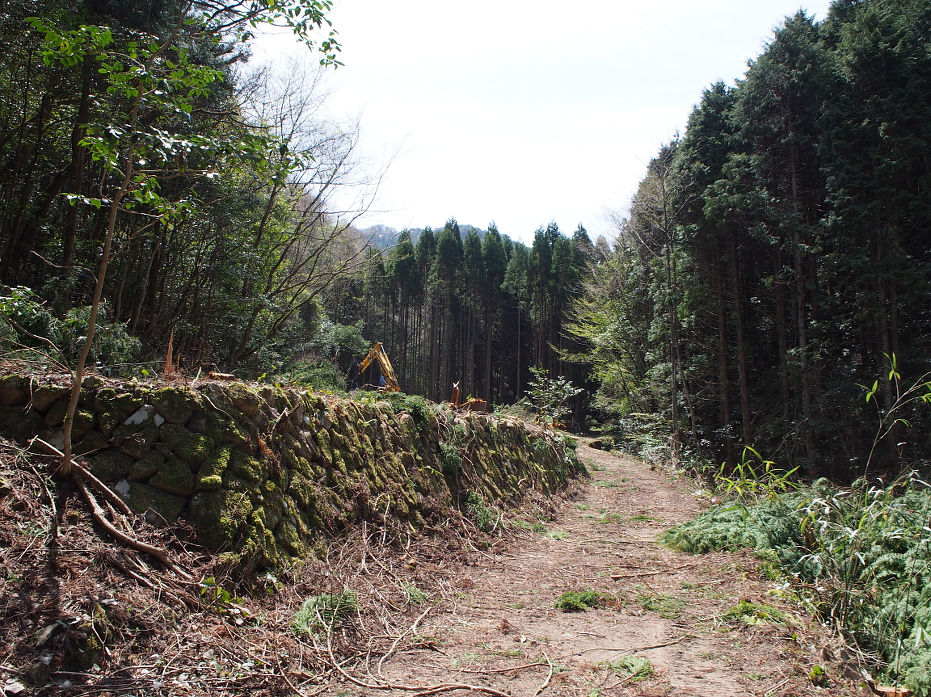 塔の岩190411.JPG
