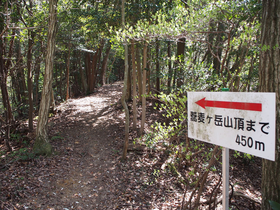 蕎麦ヶ岳190417.JPG