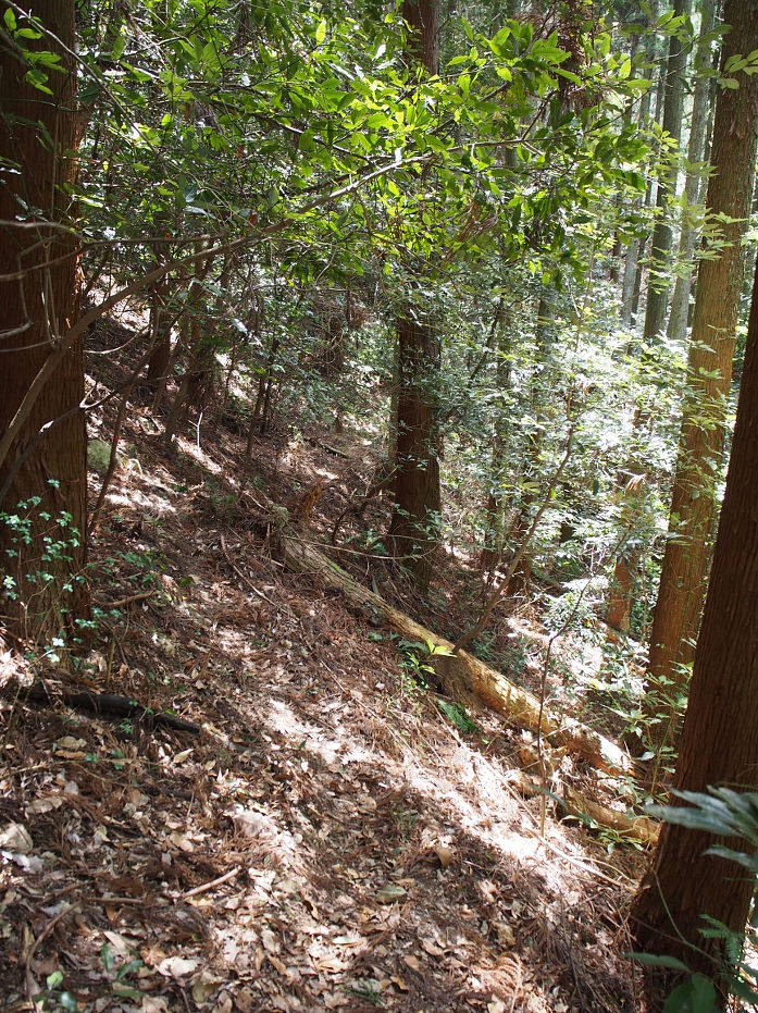 塔の岩190420.JPG