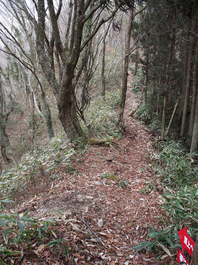 十種ヶ峰190120.JPG