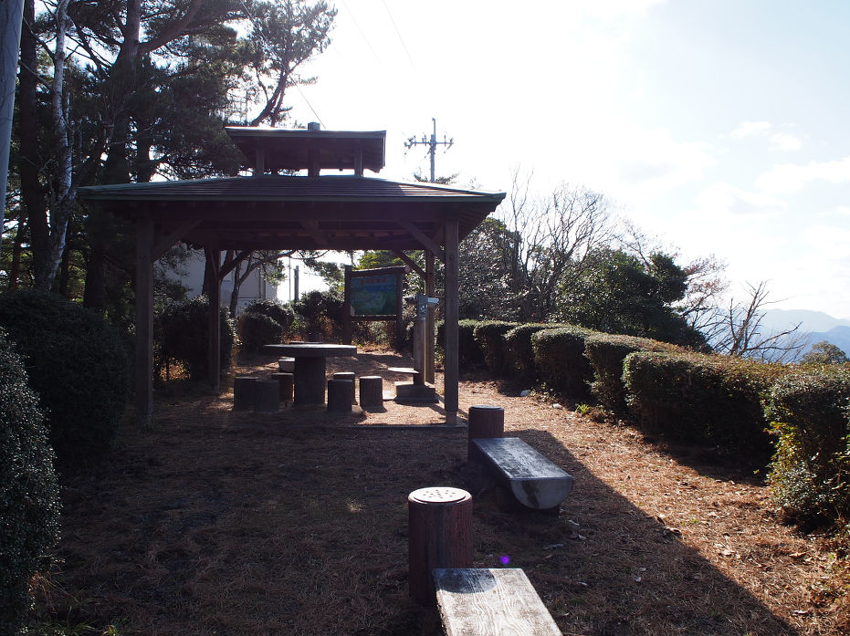 tatoko190115.JPG