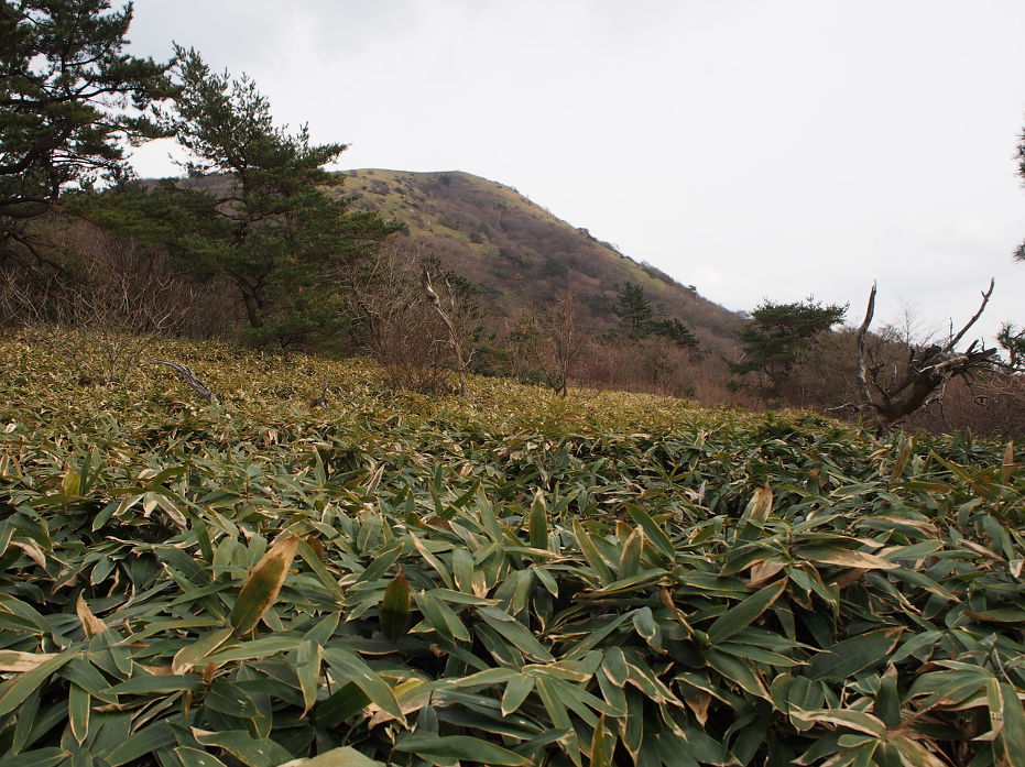 十種ヶ峰190138.JPG