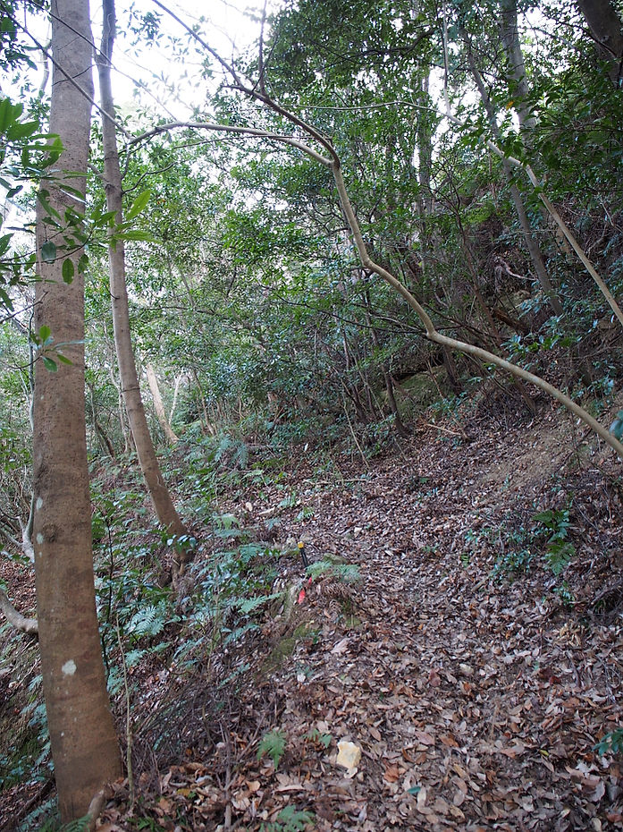 tatoko190107.JPG