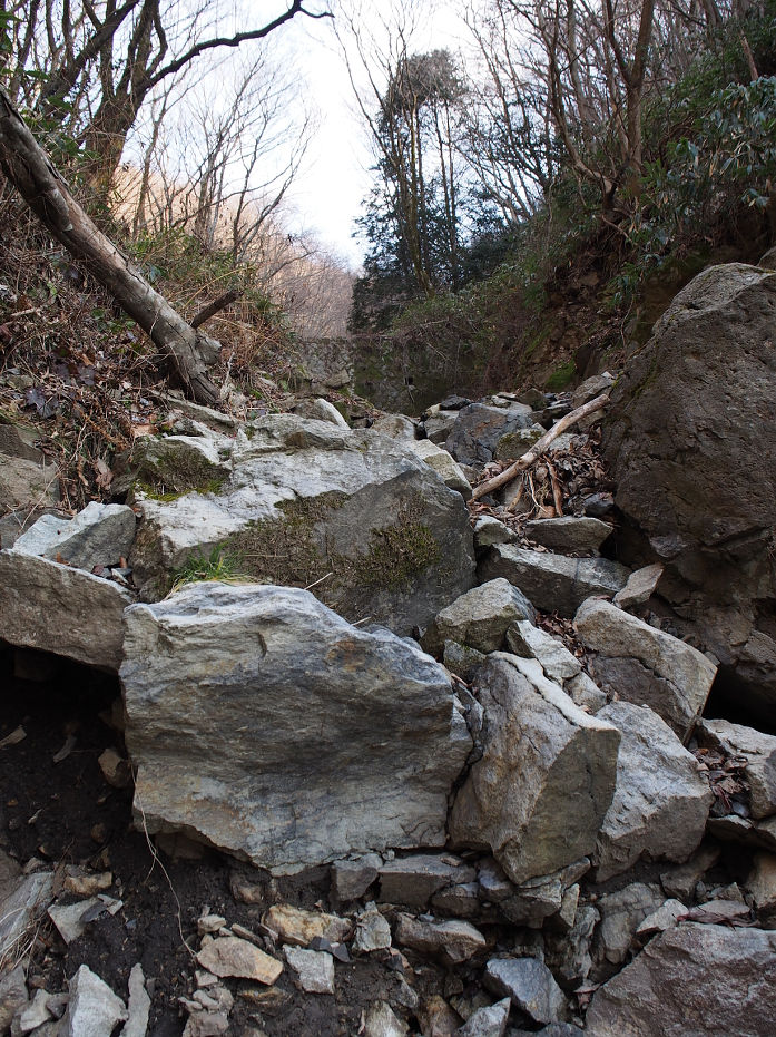 十種ヶ峰190114.JPG