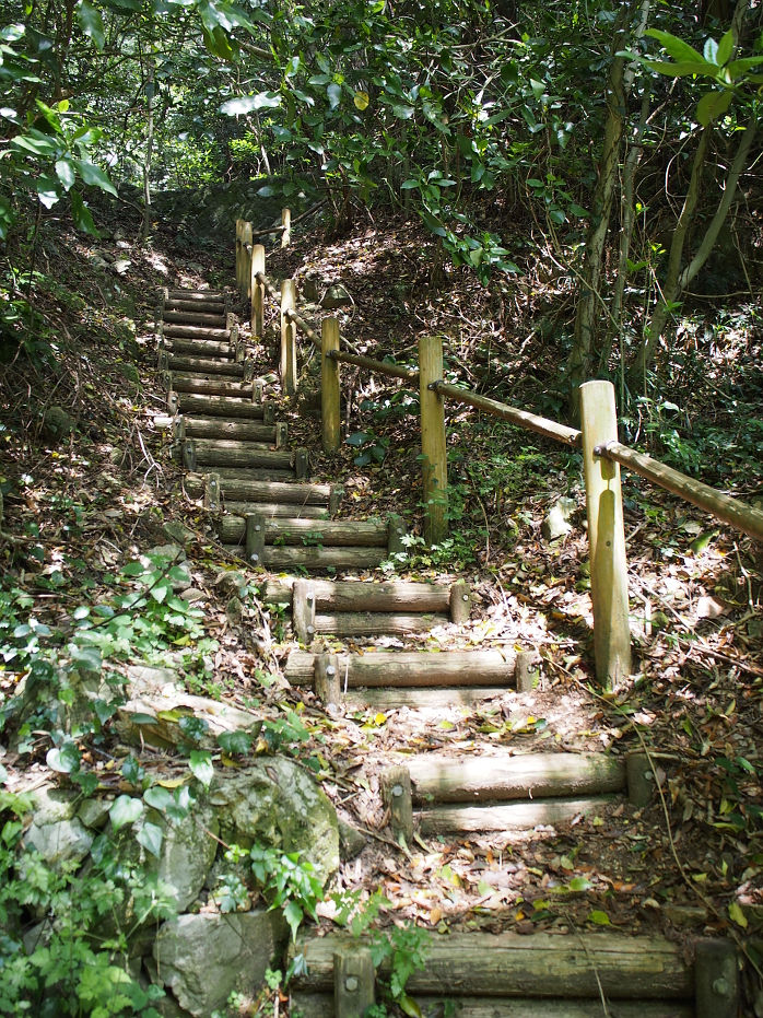 指月山190413.JPG