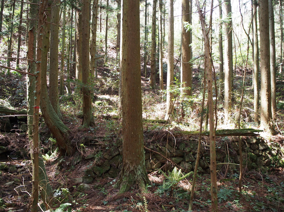 塔の岩190416.JPG