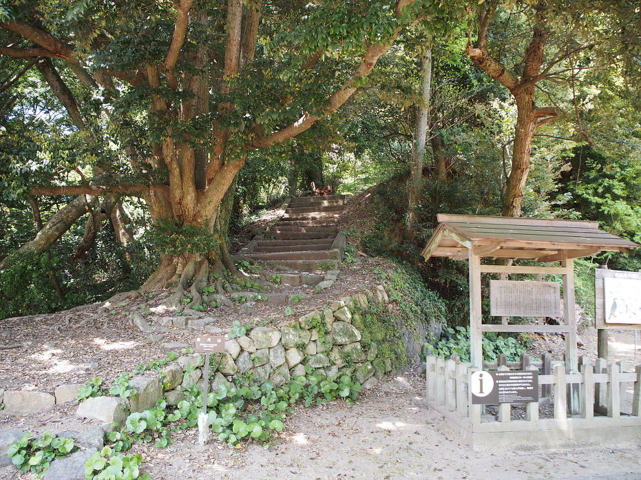 指月山190409.JPG