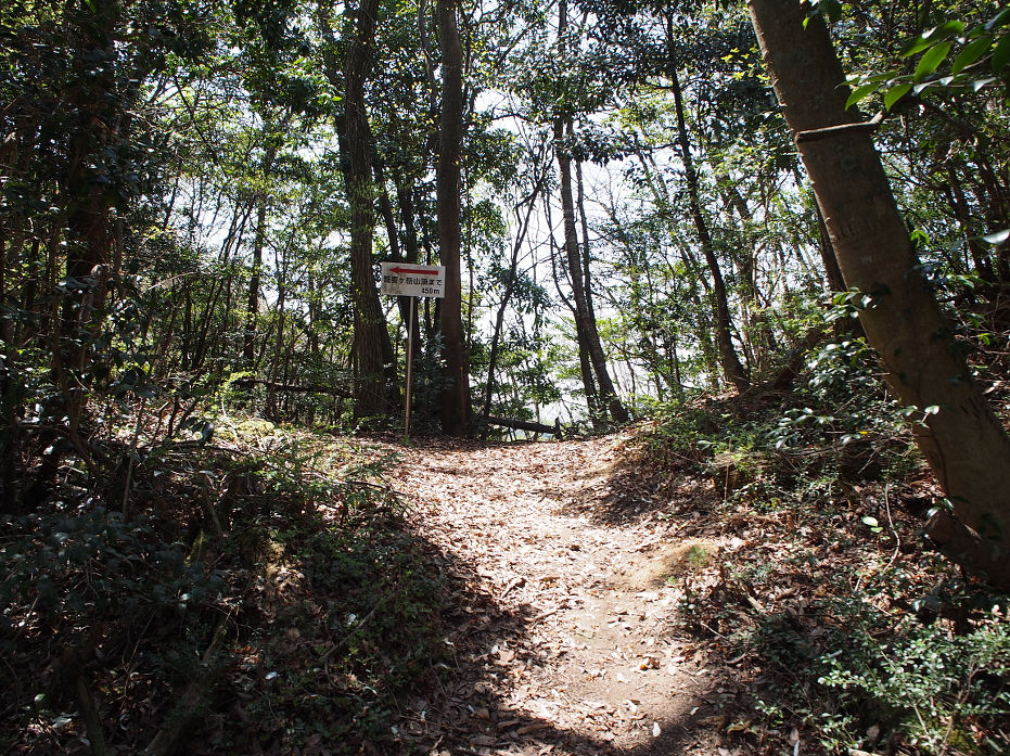 蕎麦ヶ岳190416.JPG