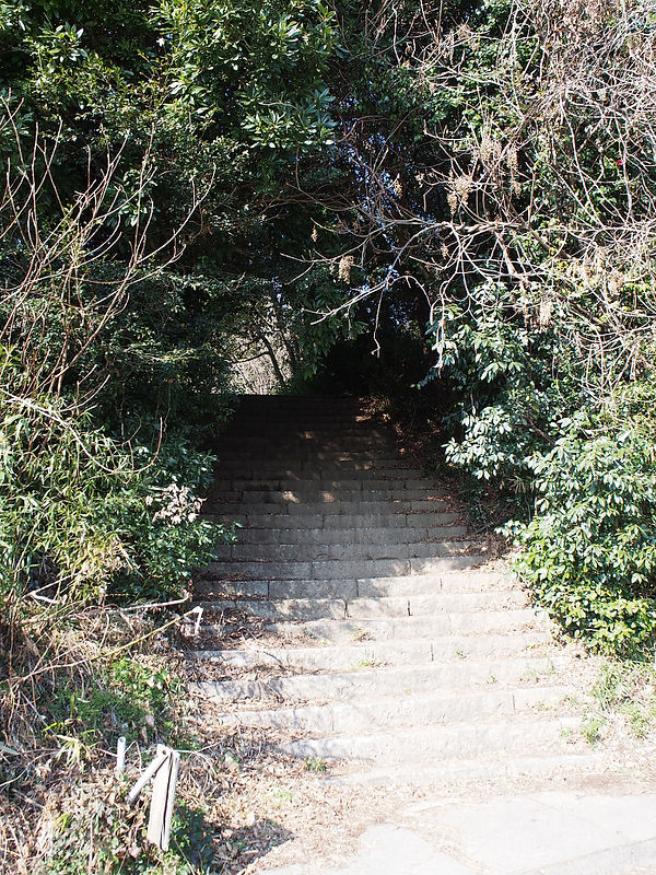 migita190102.JPG