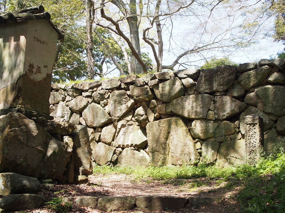 指月山190417.JPG