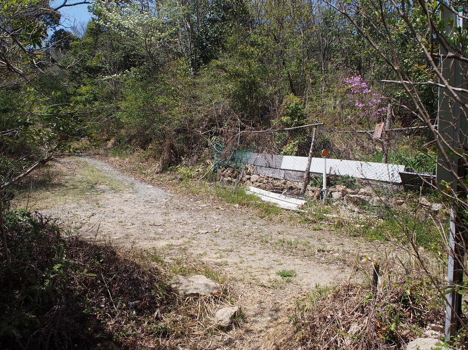 蕎麦ヶ岳190406.JPG
