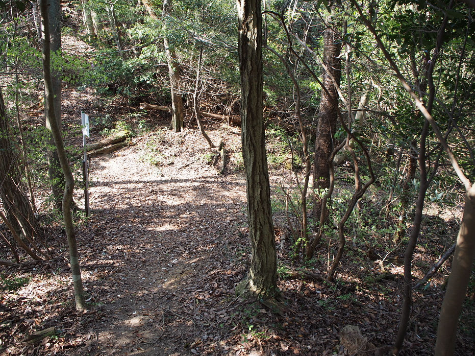 蕎麦ヶ岳190437.JPG