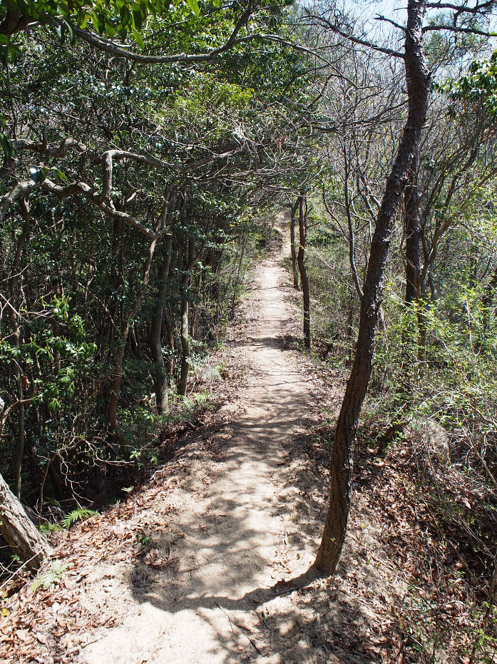 蕎麦ヶ岳190419.JPG