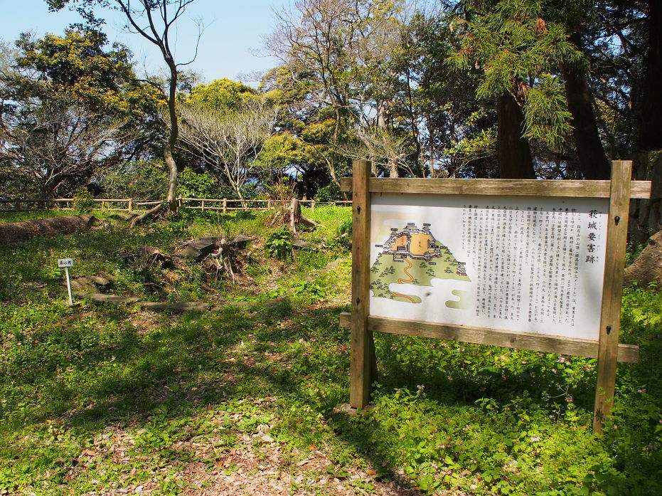 指月山190421.JPG