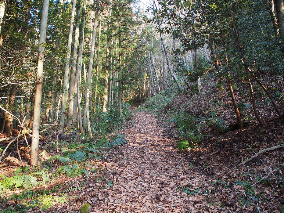 十種ヶ峰190109.JPG