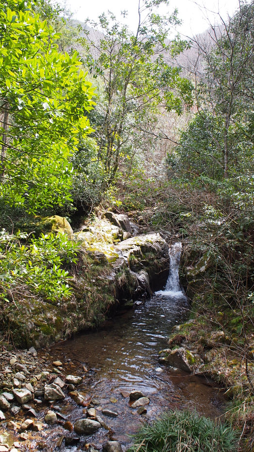 tounoiwa190307.JPG
