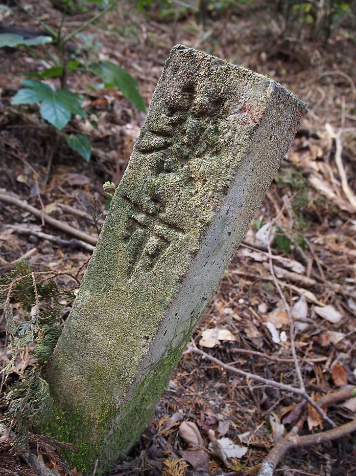 tatoko190110.JPG