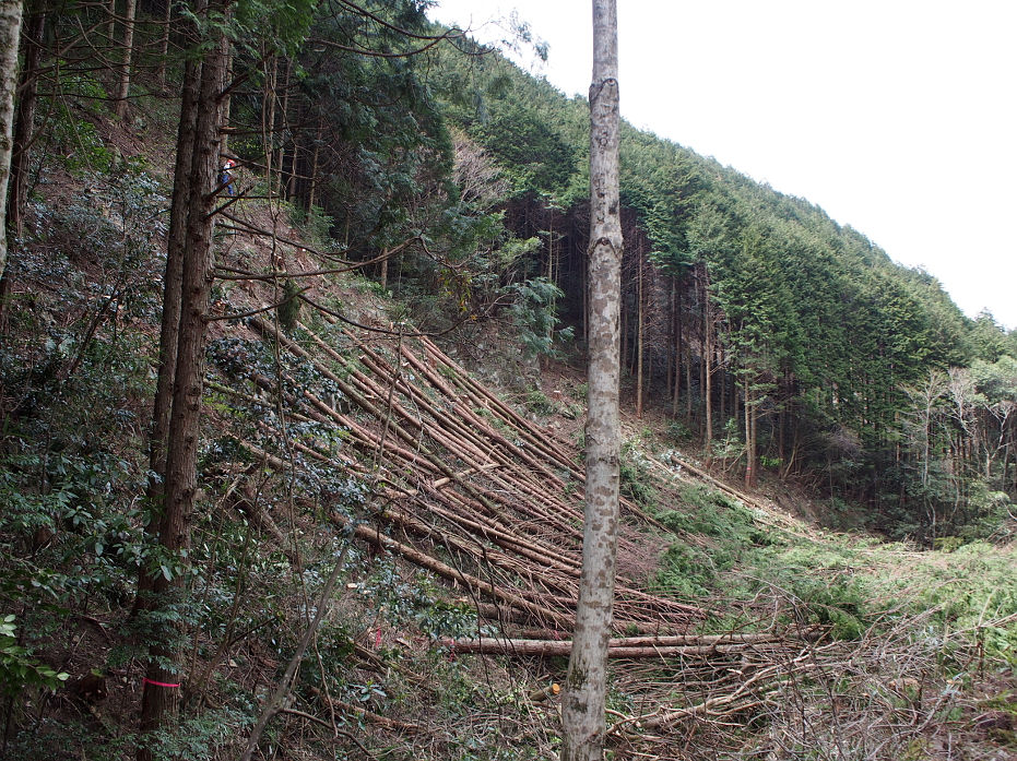 塔の岩190434.JPG