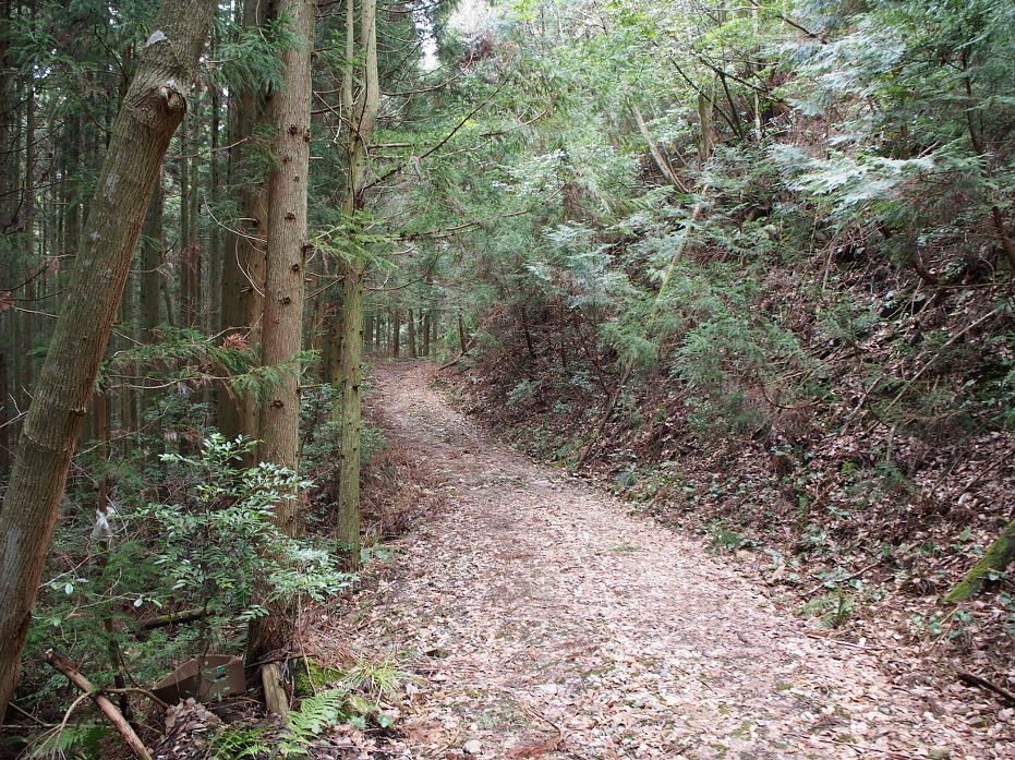 塔の岩190231.JPG