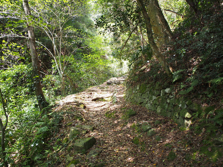 指月山190412.JPG