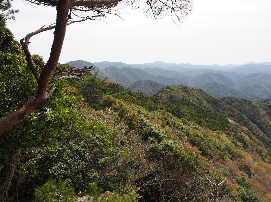 塔の岩190425.JPG