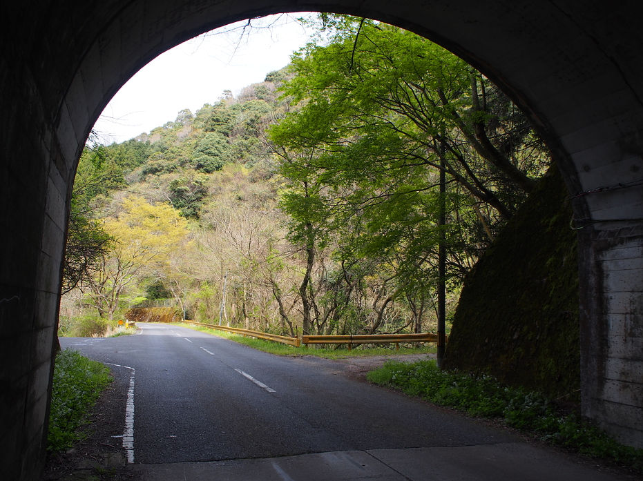 塔の岩190435.JPG
