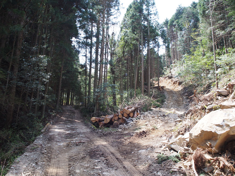 塔の岩190409.JPG
