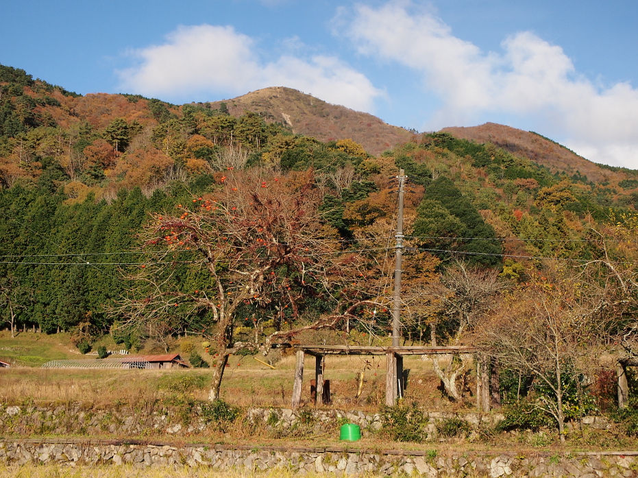 tokusa181118.JPG
