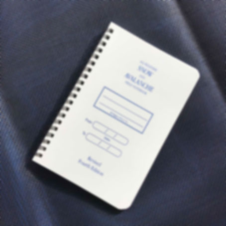 Snow and Avalanche Field Notebook