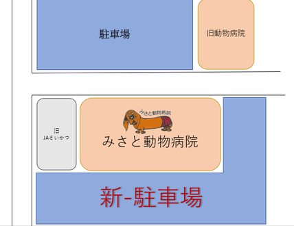 みさと動物病院 埼玉県 三郷市 年中無休 トリミング みさと動物病院 埼玉県 三郷市 年中無休 トリミング