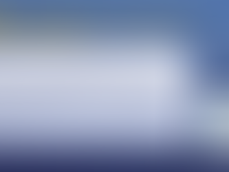 Early-Cycle Transition: Balancing Risks and Opportunities Ahead