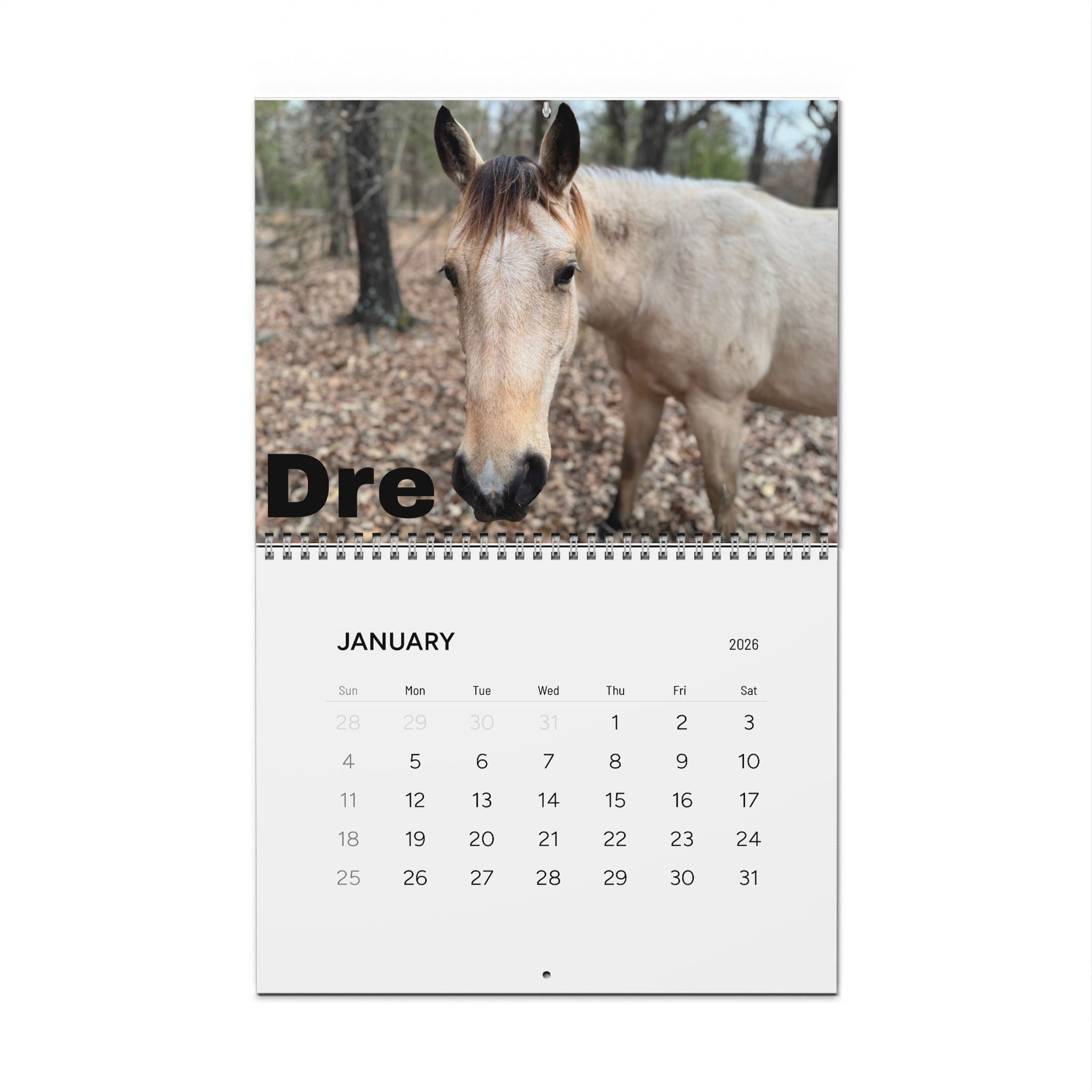 Hot Mess Ranch Standard Wall Calendars (2026)