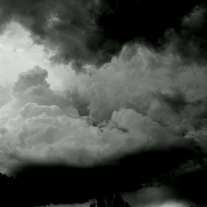 Empowering Your Brand: Tools and Resources from Brandville Group