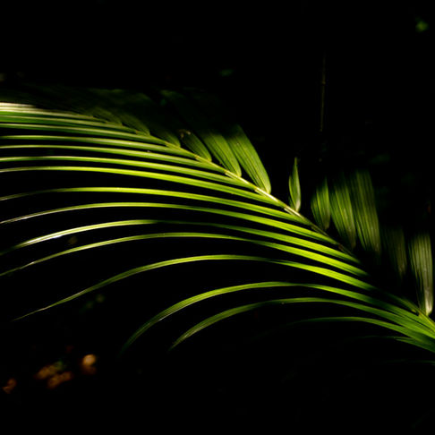 How to Incorporate Mindfulness into Your Beauty Routine