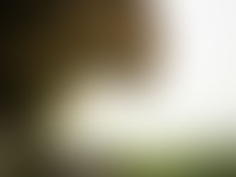 How to Foster Collaboration Among Women Leaders