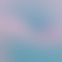 Case Study: Transforming a Small Business into a Recognizable Brand