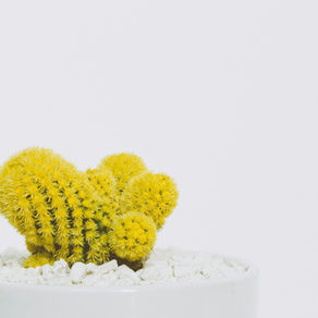 Why Every Entrepreneur Needs a Strong Personal Brand